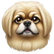 Pekingese sticker