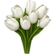 white tulip bouquet  sticker
