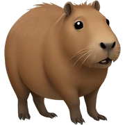 capibara sticker