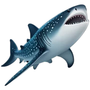 Whale shark sticker