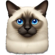 fluffy siamese dark face and blue eyes sticker