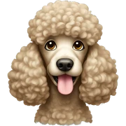 Poodle sticker