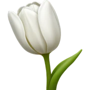 white tulip bouquet  sticker