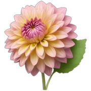 Dahlia with leaves sticker