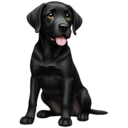 black labrador gold sticker