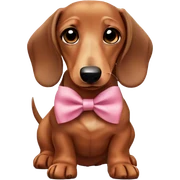 A cute dachshund wearing a bow￼ sticker