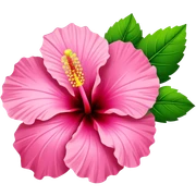 Pink hibiscus  sticker