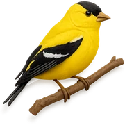 very detailed American Goldfinch perched on a tree branch, intricate cut paper textures, bright yellow feathers, black wings and cap, realistic markings sticker