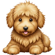 golden doodle sticker