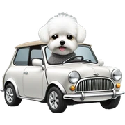 little white fluffy dog ​​driving a gray retro mini cooper 1600 cs sticker