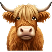 Highland cow sticker