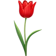 Tulipanes  flor 🌷 sticker