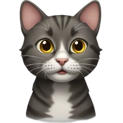 Cat sticker