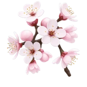 Cherry blossom sticker