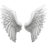 Angel wings  sticker