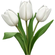 White tulips  sticker