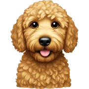 Mini golden-doodle sticker