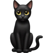black cat  sticker