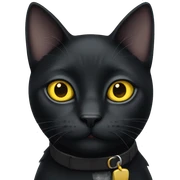 black cat with yellow eyes and grey collar sticker