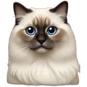 Birman sticker