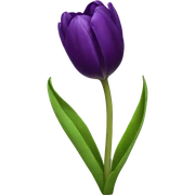 dark purple single tulip sticker