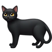 Black cat  sticker