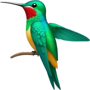 kolibri sticker