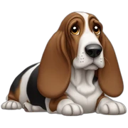 Basset hound sticker