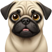 pug sticker