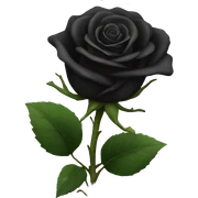 black rose  sticker