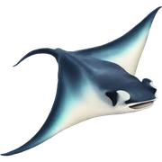 Manta ray sticker