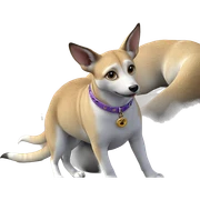 realistic animal with collar sticker