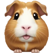 guinea pig sticker
