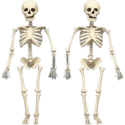 Skeleton sticker