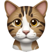 Brown and white tabby sticker