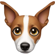 jack russel sticker