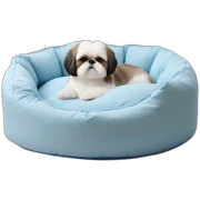 Shih tzu sleeping in light blue circular dog bed sticker