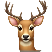 deer sticker