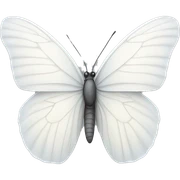 white butterfly sticker