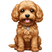 cavapoo sticker