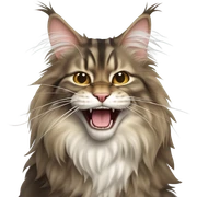 yawning maine coon cat sticker