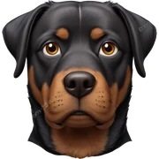realistic dog with brown eyes sticker