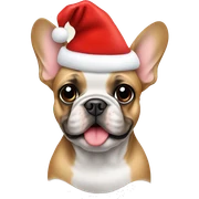Frenchie with a Christmas hat on  sticker