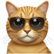 Cat with sunglasses sticker