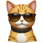Cat with sunglasses sticker