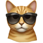 Cat with sunglasses sticker