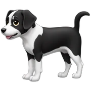 dog black white sticker