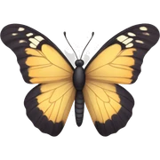 Butterfly  sticker