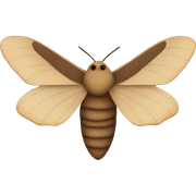 moth sticker