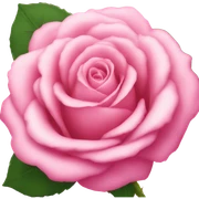 Pink rose sticker